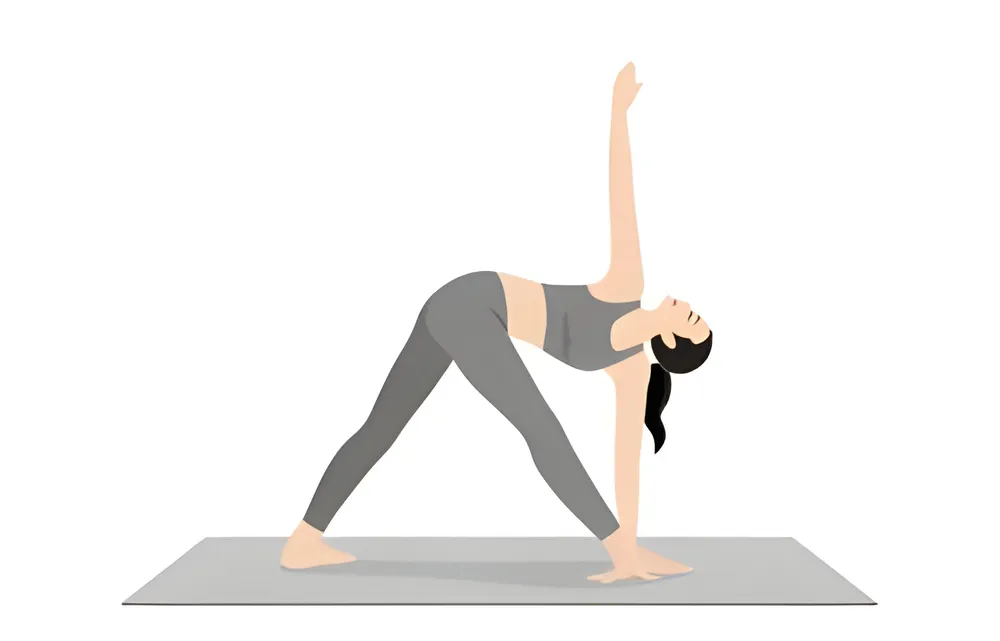 Intermediate Yoga Poses